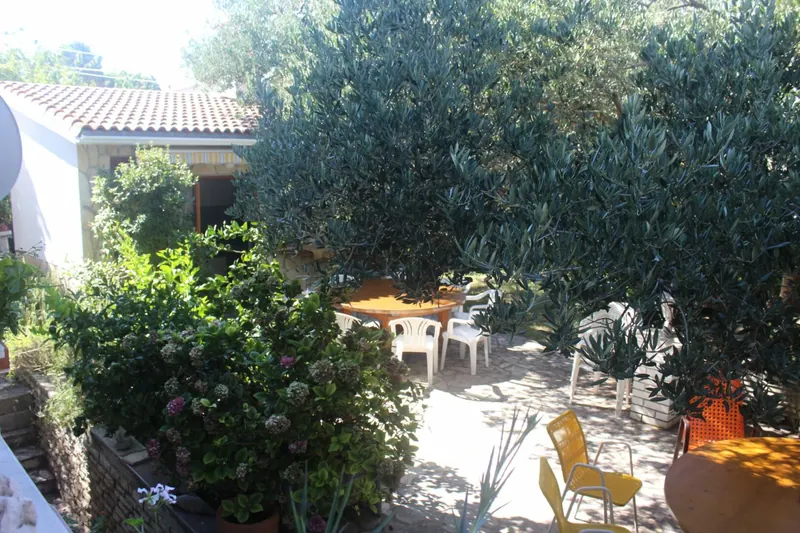 Sitzplatz unter dem großen Olivenbaum im Garten